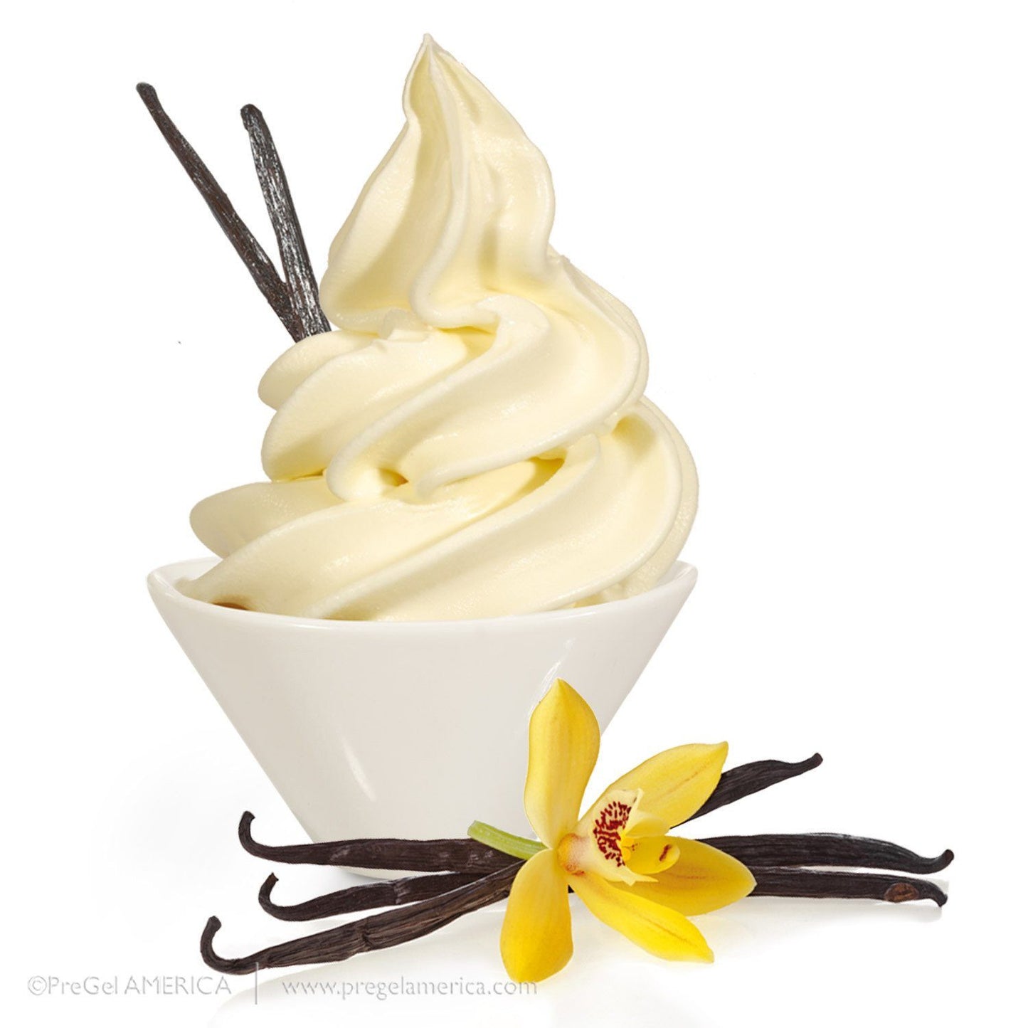 PreGel Super Sprints - Base With Flavorings Gelato Ingredients PreGel Vanilla Single Bag