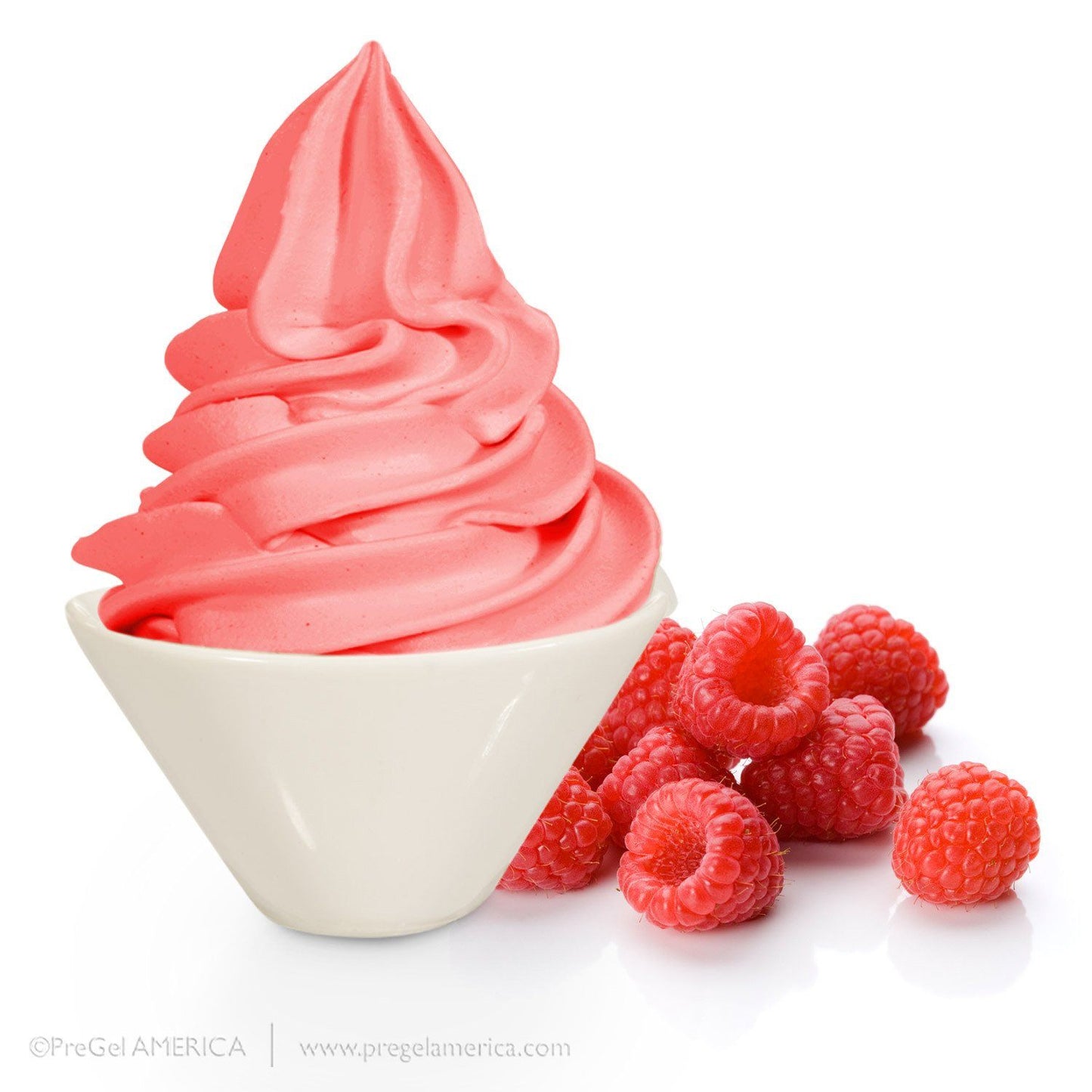 PreGel Super Sprints - Base With Flavorings Gelato Ingredients PreGel Raspberry Single Bag