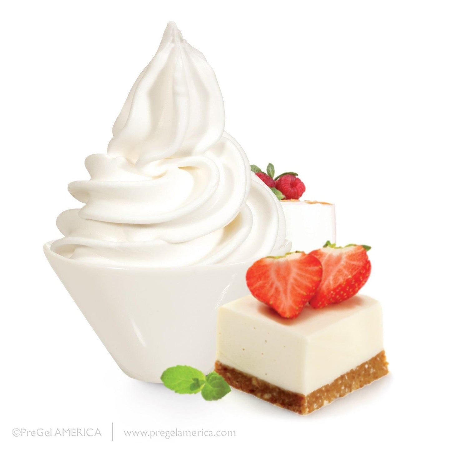 PreGel Super Sprints - Base With Flavorings Gelato Ingredients PreGel Cheesecake Single Bag