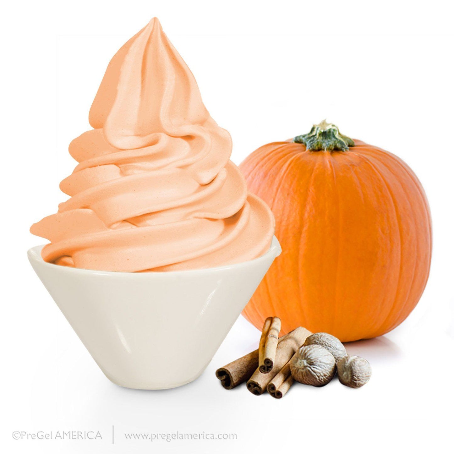 PreGel Super Sprints - Base With Flavorings Gelato Ingredients PreGel Pumpkin Spice Single Bag