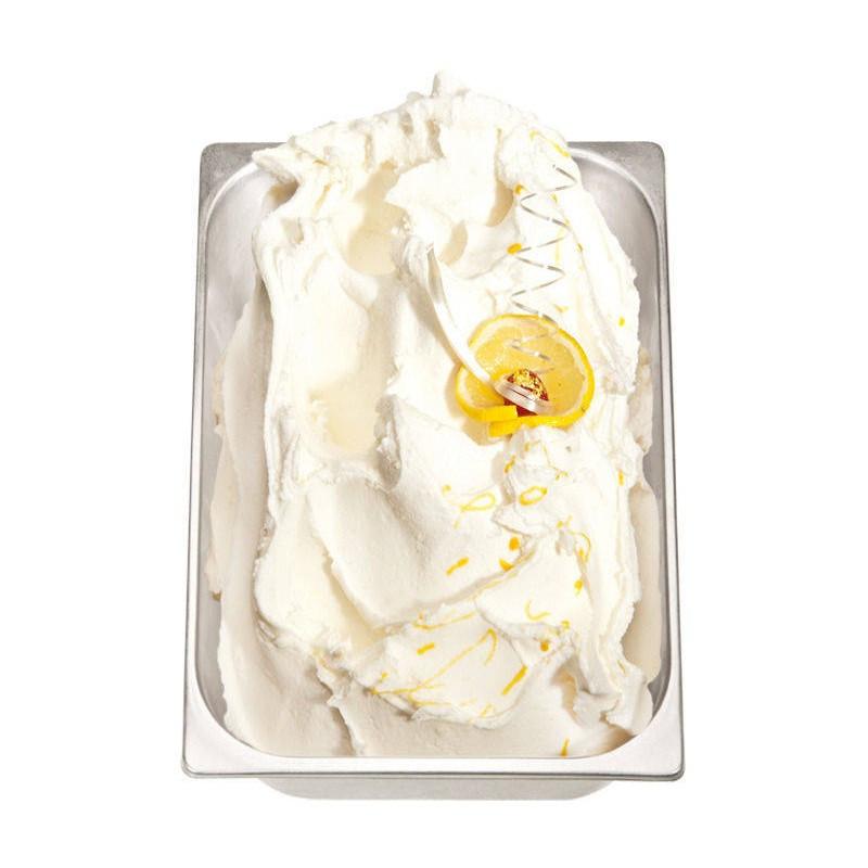 PreGel Fortefrutto - Fruit Flavors Gelato Ingredients PreGel Lemon 50 Powder Case of 8 Bags