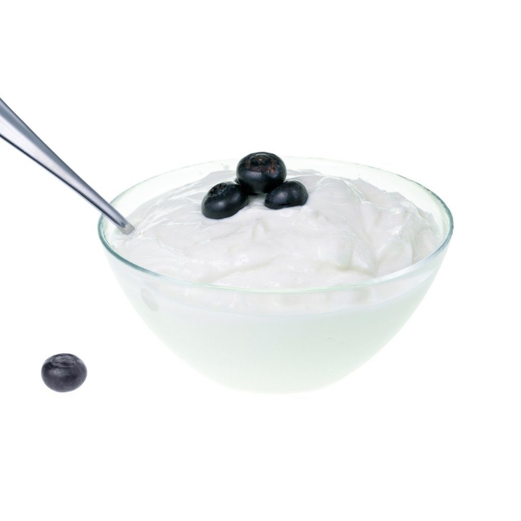 PreGel Traditional Pastes Gelato Ingredients PreGel Yoggi 30 Powder (Yogurt) Single 3.3 lb Bag