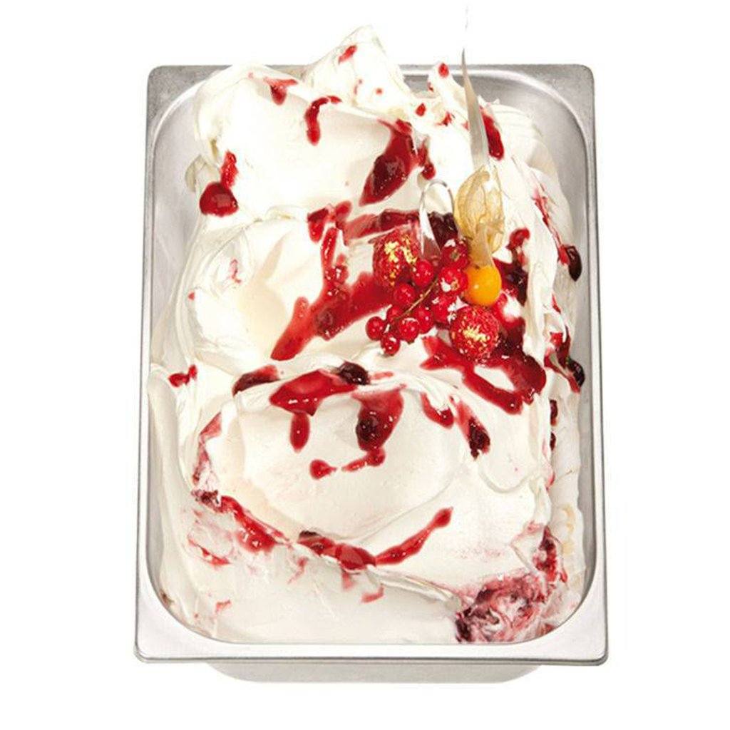 PreGel Traditional Pastes Gelato Ingredients PreGel Yoggi 30 Powder (Yogurt) Case of 8 Bags