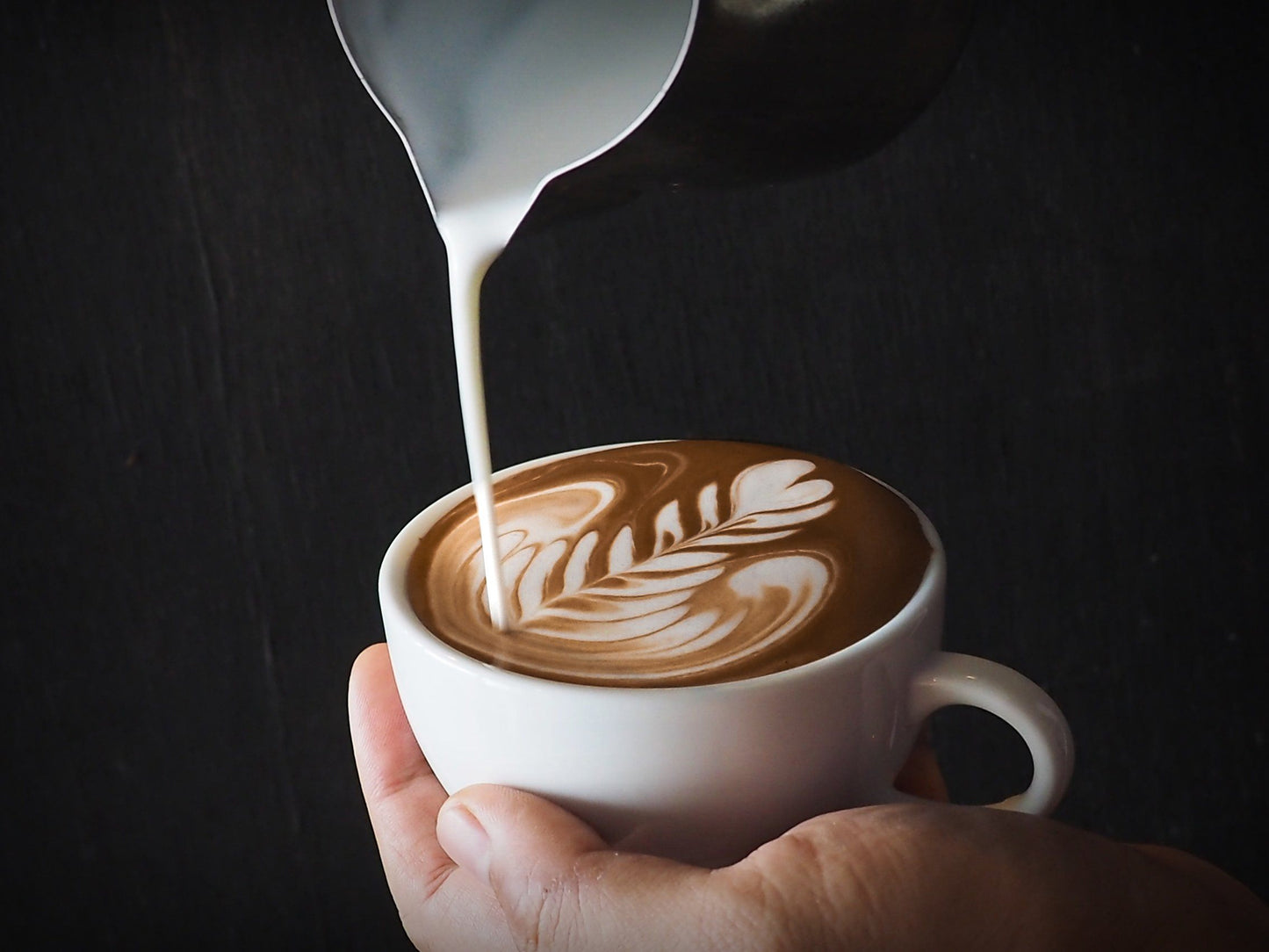 Hollander Barista Sauce - Sweet Ground Dutched Chocolate Dessert Sauces Hollander